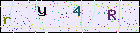 imagecode